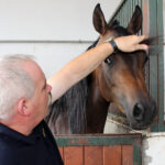 Michałów. Stadnina koni / Marta Gajda / Radio Kielce