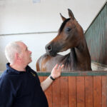 Michałów. Stadnina koni / Marta Gajda / Radio Kielce