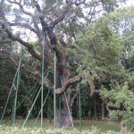 Letni Raport Dnia / Grzegorz Jamka / Radio Kielce