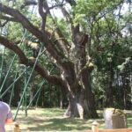 Letni Raport Dnia / Grzegorz Jamka / Radio Kielce