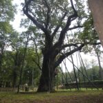 Letni Raport Dnia / Grzegorz Jamka / Radio Kielce