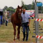 Opatowiec. 20. Jubileuszowy Świętokrzyski Młodzieżowy Championat Koni Małopolskich / Marta Gajda / Radio Kielce
