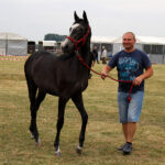 Opatowiec. 20. Jubileuszowy Świętokrzyski Młodzieżowy Championat Koni Małopolskich / Marta Gajda / Radio Kielce