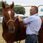 Opatowiec. 20. Jubileuszowy Świętokrzyski Młodzieżowy Championat Koni Małopolskich / Marta Gajda / Radio Kielce