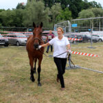 Opatowiec. 20. Jubileuszowy Świętokrzyski Młodzieżowy Championat Koni Małopolskich / Marta Gajda / Radio Kielce