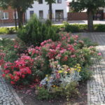 Letni Raport Dnia / Paweł Mikołajczyk / Radio Kielce