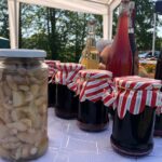 Strzegom. Jarmark „Wszystkie skarby lasu” / Grażyna Szlęzak - Wójcik / Radio Kielce