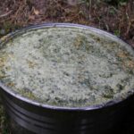 Drożejowice. Festiwal Ogórka / Marta Gajda / Radio Kielce