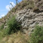 Siesławice. Teren rekreacyjny „Karabosy” / Marta Gajda / Radio Kielce