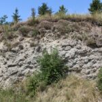 Siesławice. Teren rekreacyjny „Karabosy” / Marta Gajda / Radio Kielce