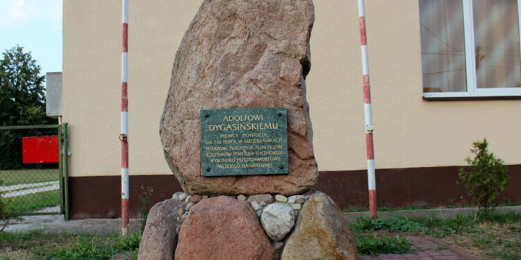 Obelisk poświęconym pamięci Adolfa Dygasińskiego / Marta Gajda / Radio Kielce