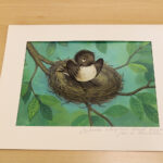 Prezenty dla Muzeum Zabawek i Zabawy / Magdalena Blicharska / Radio Kielce