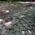 Sandomierz, ulica Rokitek / Grażyna Szlęzak-Wójcik / Radio Kielce