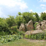 Gospodarstwo Wioletty Poros-Sakwy / Marta Gajda / Radio Kielce