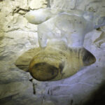 16.02.2016 Krzemionki. Muzeum Archeologiczne. Podziemna trasa turystyczna. / Jarosław Kubalski / Radio Kielce