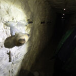 16.02.2016 Krzemionki. Muzeum Archeologiczne. Podziemna trasa turystyczna. / Jarosław Kubalski / Radio Kielce