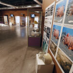 16.02.2016 Krzemionki. Muzeum Archeologiczne. Pawilon wystawienniczy. / Jarosław Kubalski / Radio Kielce