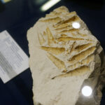 16.02.2016 Krzemionki. Muzeum Archeologiczne. Pawilon wystawienniczy. / Jarosław Kubalski / Radio Kielce