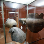 16.02.2016 Krzemionki. Muzeum Archeologiczne. Pawilon wystawienniczy. / Jarosław Kubalski / Radio Kielce