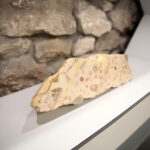 Kielce. Centrum Geoedukacji. Otwarcie wystawy CHRONOS / Wiktor Taszłow / Radio Kielce