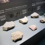 Kielce. Centrum Geoedukacji. Otwarcie wystawy CHRONOS / Wiktor Taszłow / Radio Kielce