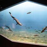 Kielce. Centrum Geoedukacji. Otwarcie wystawy CHRONOS / Wiktor Taszłow / Radio Kielce