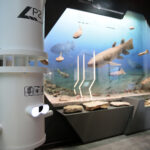 Kielce. Centrum Geoedukacji. Otwarcie wystawy CHRONOS / Wiktor Taszłow / Radio Kielce