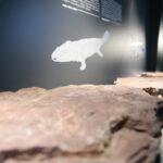 Kielce. Centrum Geoedukacji. Otwarcie wystawy CHRONOS / Wiktor Taszłow / Radio Kielce