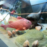 Kielce. Centrum Geoedukacji. Otwarcie wystawy CHRONOS / Wiktor Taszłow / Radio Kielce