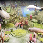 Kielce. Centrum Geoedukacji. Otwarcie wystawy CHRONOS / Wiktor Taszłow / Radio Kielce