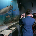 Kielce. Centrum Geoedukacji. Otwarcie wystawy CHRONOS / Wiktor Taszłow / Radio Kielce