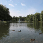 Kielce. Park Miejski im. Stanisława Staszica / Patryk Cudzik / Radio Kielce