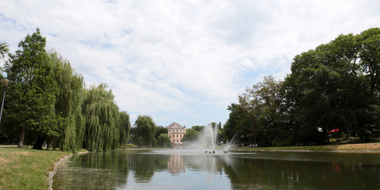 Kielce. Park Miejski im. Stanisława Staszica / Patryk Cudzik / Radio Kielce