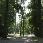 Kielce. Park Miejski im. Stanisława Staszica / Fot. Patryk Cudzik - Radio Kielce