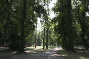 Kielce. Park Miejski im. Stanisława Staszica / Fot. Patryk Cudzik - Radio Kielce