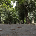 Kielce. Park Miejski im. Stanisława Staszica / Patryk Cudzik / Radio Kielce