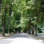 Kielce. Park Miejski im. Stanisława Staszica / Fot. Patryk Cudzik - Radio Kielce