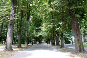 Kielce. Park Miejski im. Stanisława Staszica / Fot. Patryk Cudzik - Radio Kielce