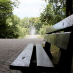 Kielce. Park Miejski im. Stanisława Staszica. / Patryk Cudzik / Radio Kielce