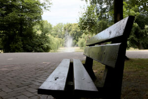 Kielce. Park Miejski im. Stanisława Staszica. / Patryk Cudzik / Radio Kielce