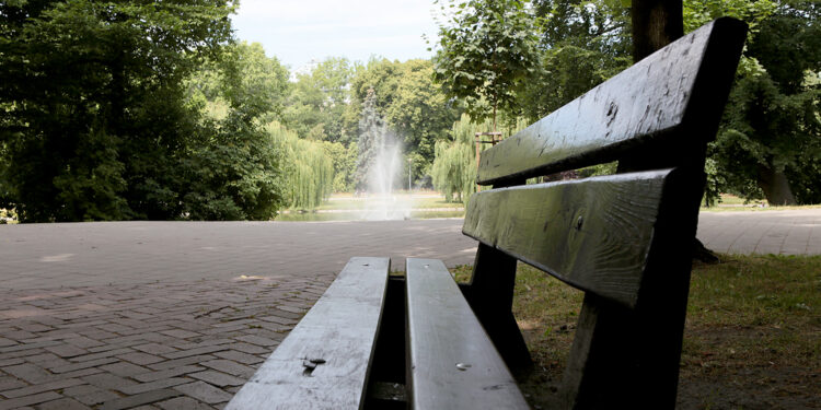 Kielce. Park Miejski im. Stanisława Staszica. / Patryk Cudzik / Radio Kielce