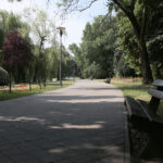 Kielce. Park Miejski im. Stanisława Staszica / Patryk Cudzik / Radio Kielce