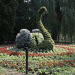 Kielce. Park Miejski im. Stanisława Staszica / Patryk Cudzik / Radio Kielce