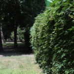 Kielce. Park Miejski im. Stanisława Staszica / Patryk Cudzik / Radio Kielce