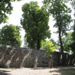 Kielce. Park Miejski im. Stanisława Staszica / Patryk Cudzik / Radio Kielce