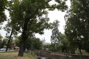 Kielce. Park Miejski im. Stanisława Staszica / Patryk Cudzik / Radio Kielce