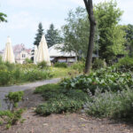 Kielce. Park Miejski im. Stanisława Staszica / Patryk Cudzik / Radio Kielce