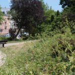 Kielce. Park Miejski im. Stanisława Staszica / Patryk Cudzik / Radio Kielce