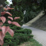 Kielce. Park Miejski im. Stanisława Staszica / Patryk Cudzik / Radio Kielce