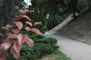 Kielce. Park Miejski im. Stanisława Staszica / Patryk Cudzik / Radio Kielce